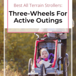 The 12 Best All-Terrain Strollers for Active Families 1