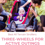 The 12 Best All-Terrain Strollers for Active Families 10