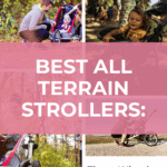 The 12 Best All-Terrain Strollers for Active Families 26