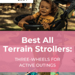The 12 Best All-Terrain Strollers for Active Families 27