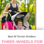 The 12 Best All-Terrain Strollers for Active Families 4