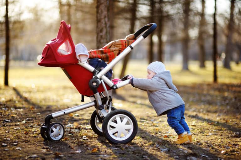 Sit-and-Stand vs Double Stroller: Dual Riding Simplified