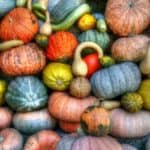 Easy DIY Glitter Pumpkin – Family Fall Craft Video Tutorial