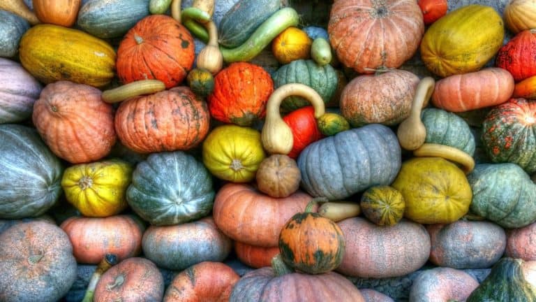 Easy DIY Glitter Pumpkin – Family Fall Craft Video Tutorial