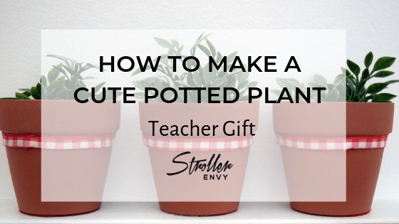 HOW TO MAKE A CUTE POTTED PLANT