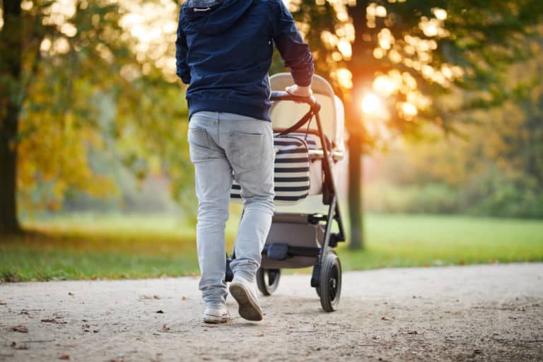 Cybex vs UPPAbaby: Best-Selling Everyday Strollers