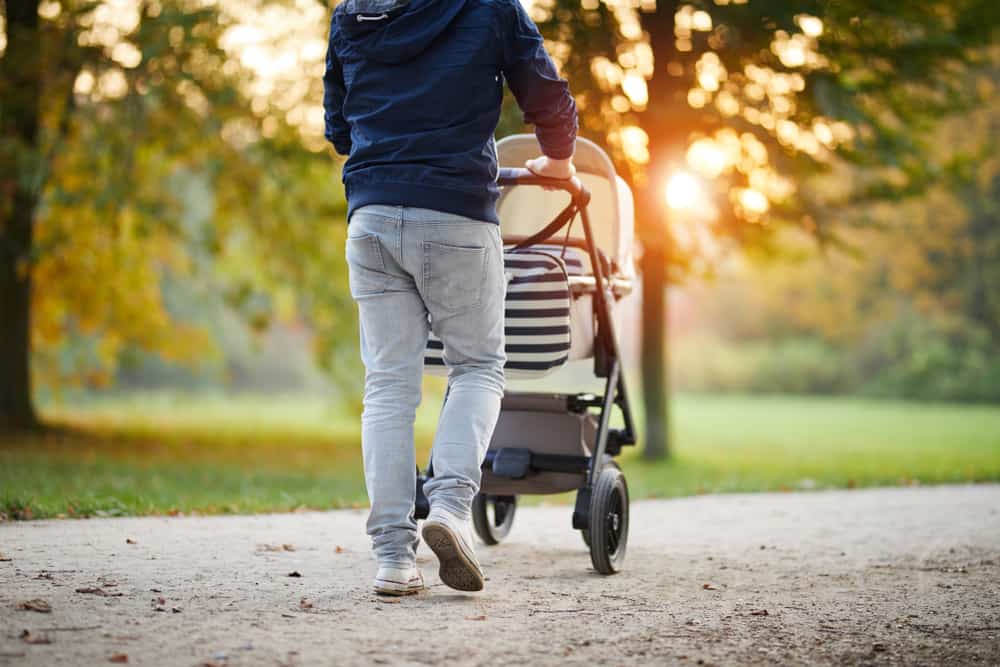 Cybex vs UPPAbaby: Best-Selling Everyday Strollers 1