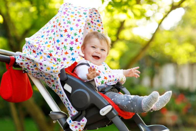 Peg Perego vs Chicco: Manueverability or Versatility?