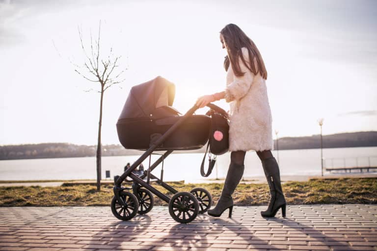 Joolz vs UPPAbaby: High-End Convertible Strollers