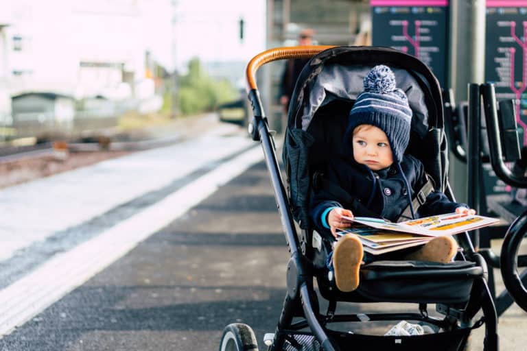 UPPAbaby vs Peg Perego: Convertible and Travel System Strollers