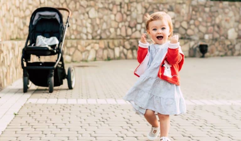 Britax vs Uppababy: Trustworthy Traveling for the Toddler