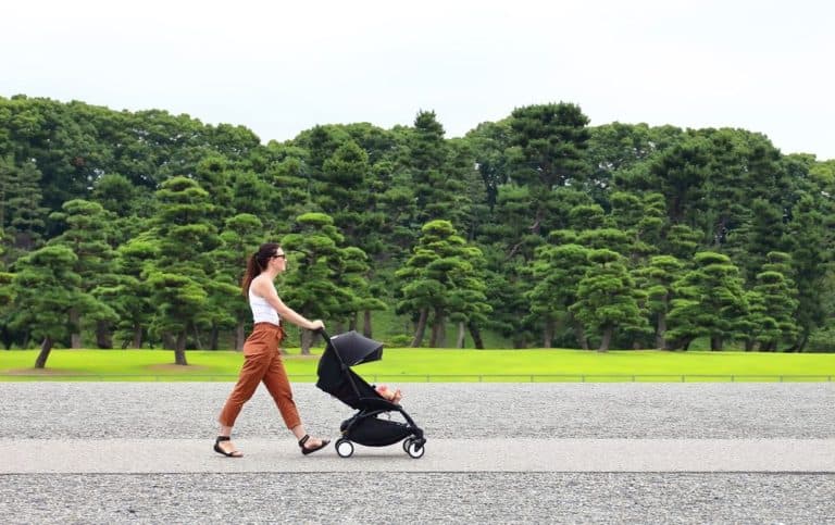 Mountain Buggy vs Baby Jogger