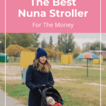 The Best Nuna Stroller For The Money 12