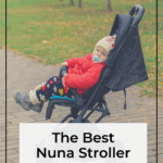 The Best Nuna Stroller For The Money 13