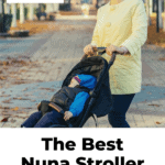 The Best Nuna Stroller For The Money 15