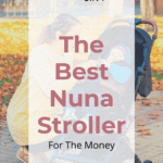 The Best Nuna Stroller For The Money 17