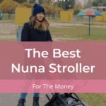 The Best Nuna Stroller For The Money 18
