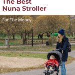 The Best Nuna Stroller For The Money 9