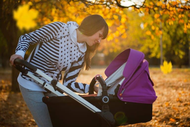 The Best Nuna Stroller For The Money