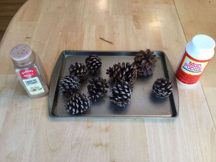 20 Super Simple And Fun DIY Pine Cone Crafts For Kids 77