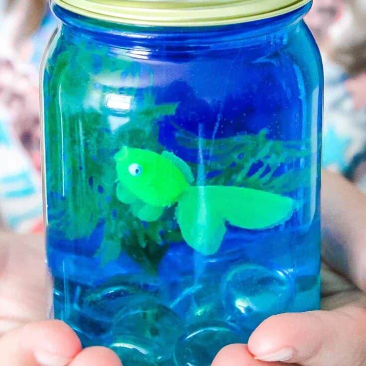 Image for How to Make a Mason Jar Aquarium: A Fun Kids Activity