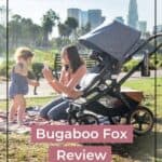 Bugaboo Fox Review