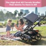 Bugaboo Fox Review: The High-End All-Terrain Stroller That Seems To Have it All! 4