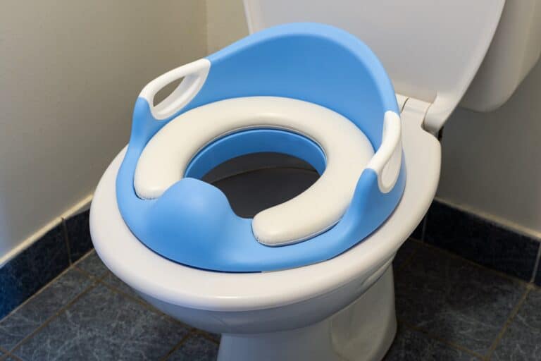 5 Best Toddler Toilet Seats