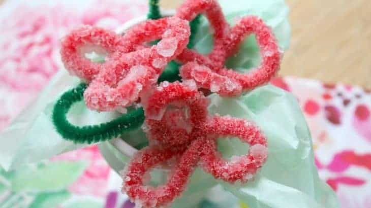 31 Fun And Creative Pipe Cleaner Crafts For Kids 81