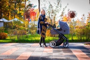 Bugaboo Cameleon 3 Plus Review: A Modern Lifestyle Stroller 20