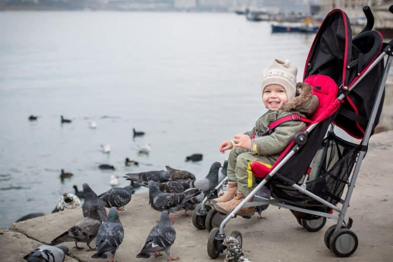 First Years Ignite Stroller Review: For Parents On The Go