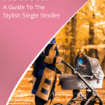 Nuna IVVI Review: A Guide To The Stylish Single Stroller 6