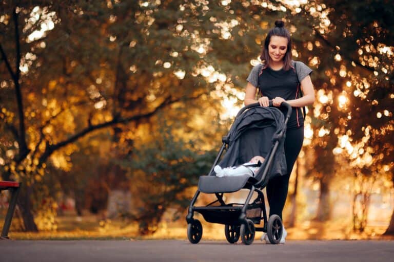 Armadillo Flip XT Review: Safe And Affordable Stroller