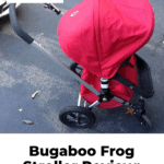 Bugaboo Frog Stroller Review: 3-in-1 Buggy Of Your Dreams 6