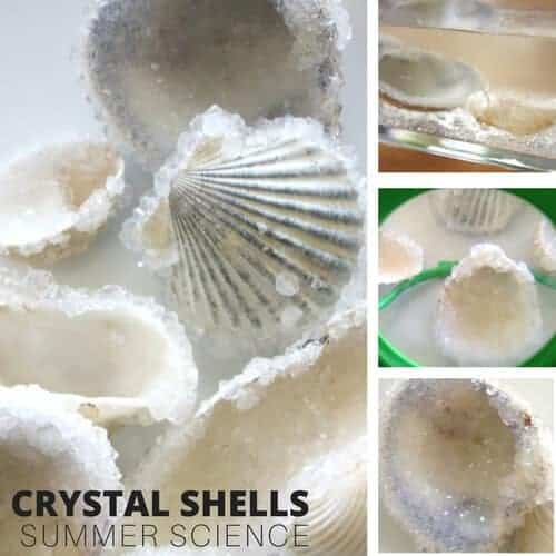 21 DIY Seashell Crafts For Kids 14
