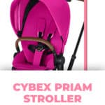 Cybex Priam Stroller Review 6