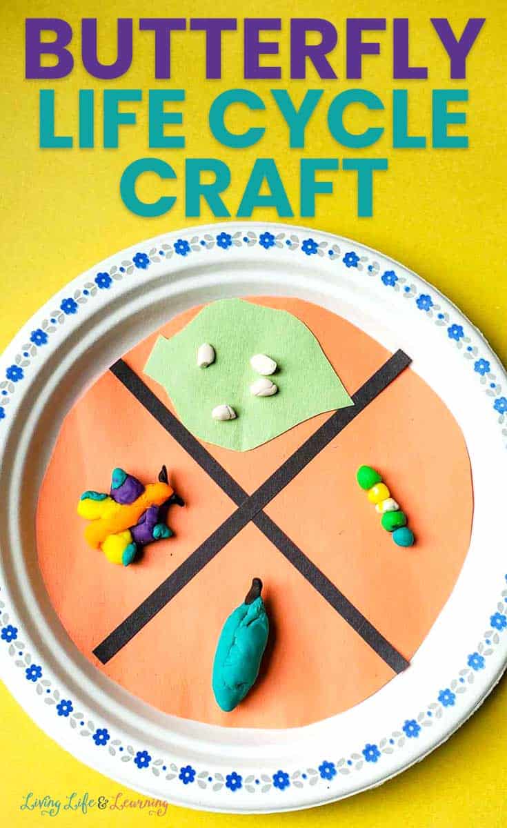 25 Engaging Bug Crafts For Kids 30