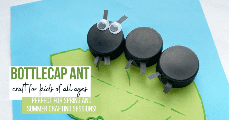 25 Engaging Bug Crafts For Kids 14