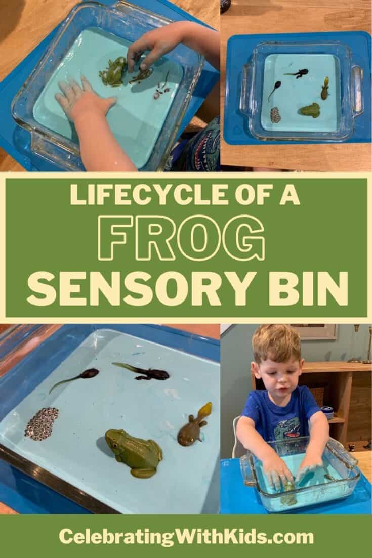 20 Adorable Frog Crafts For Kids 15