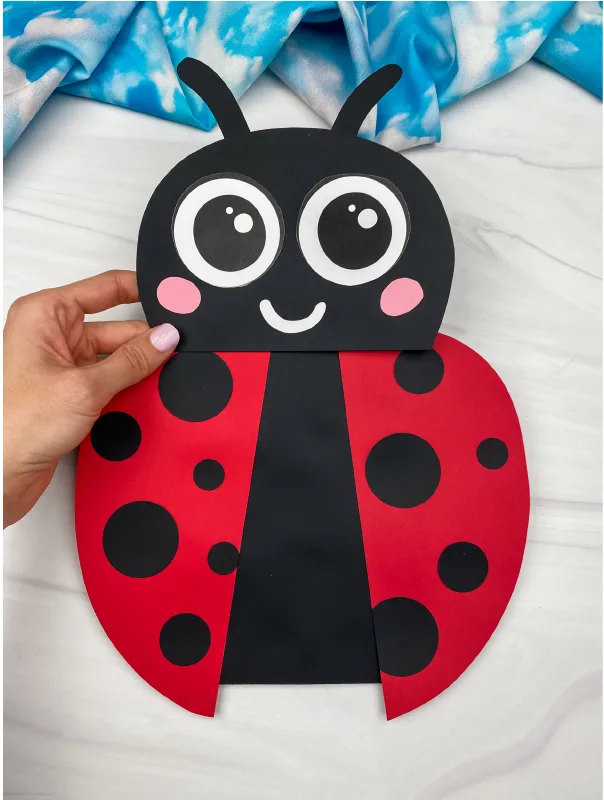 20 Super Cute Ladybug Crafts for Kids 13