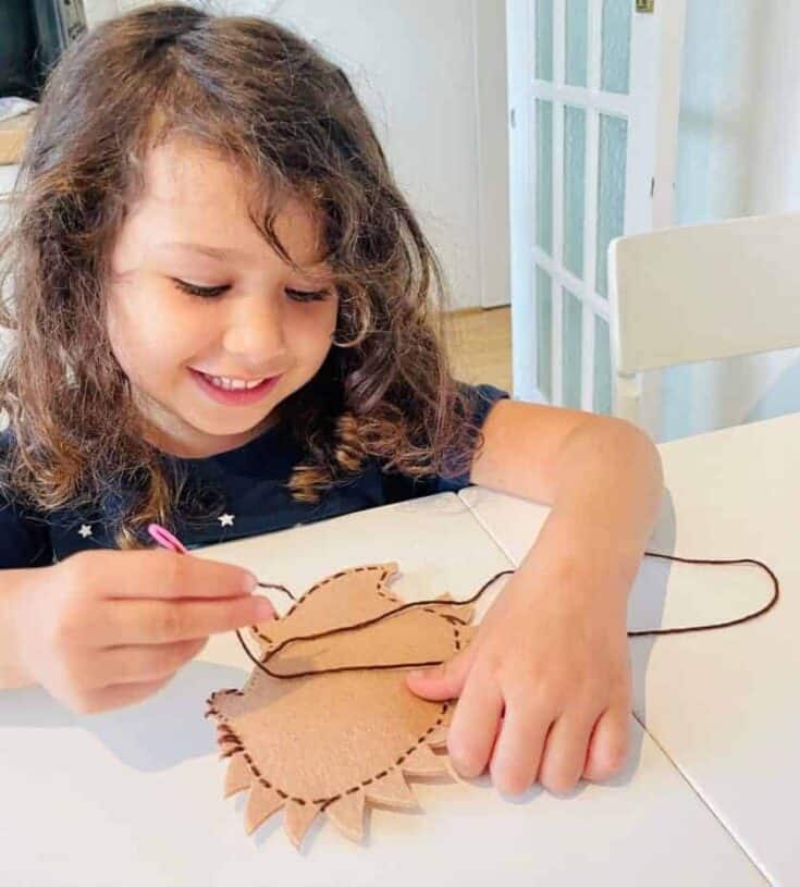 Image for Felt Hedgehog Sewing Craft for Kids