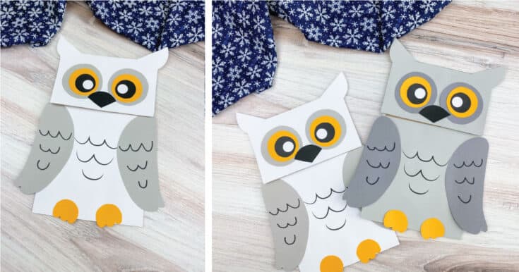 22 Creative Owl Crafts For Kids 31