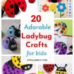 20 Adorable Ladybug Crafts for Kids