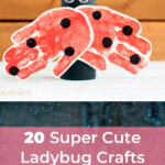 20 Super Cute Ladybug Crafts for Kids 3