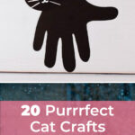 20 Purrrfect Cat Crafts for Kids 5