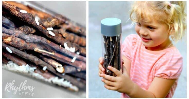 17 Marvelous Music Crafts for Kids To Make And Play 1