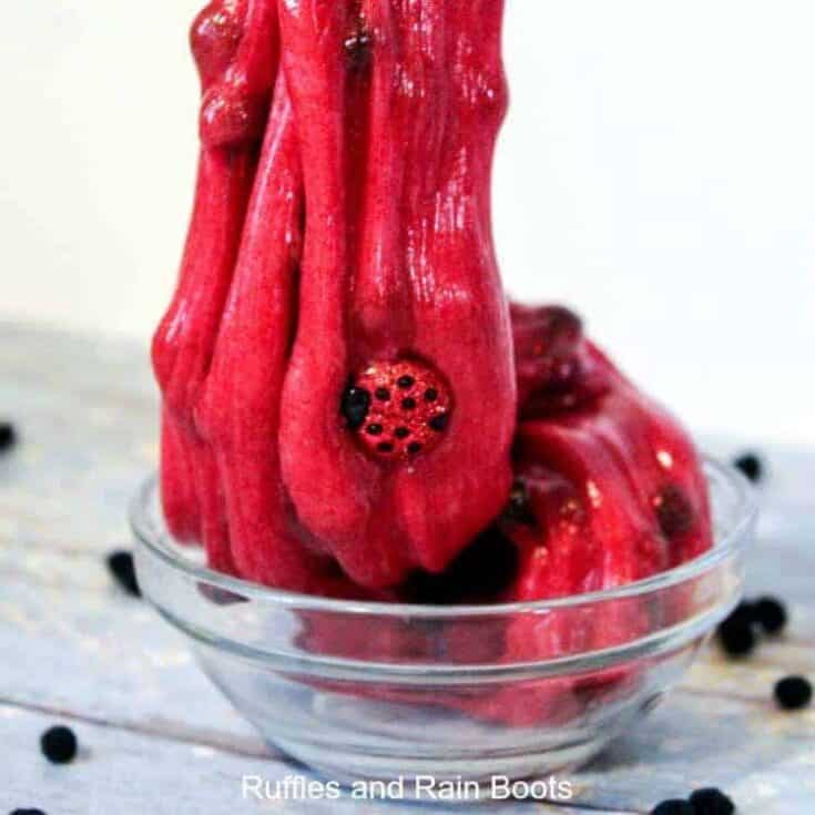 Image for Ladybug Slime 