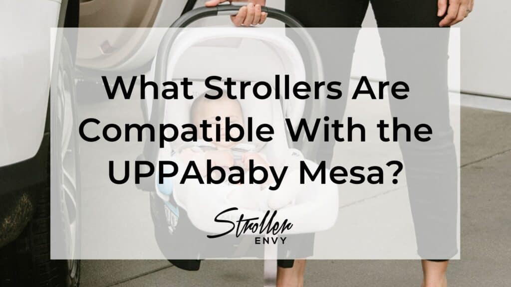 What Strollers Are Compatible With the UPPAbaby Mesa?