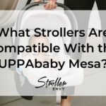 What Strollers Are Compatible With the UPPAbaby Mesa?