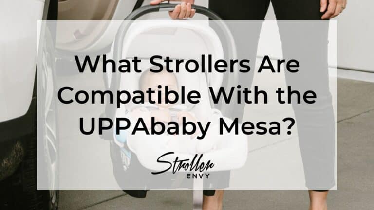 What Strollers Are Compatible With the UPPAbaby Mesa?